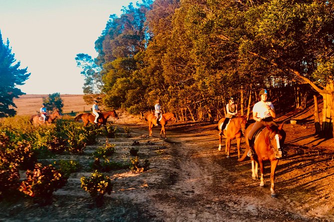 2 Hour Vineyard Trail Ride - Is $113 fair for two hours?