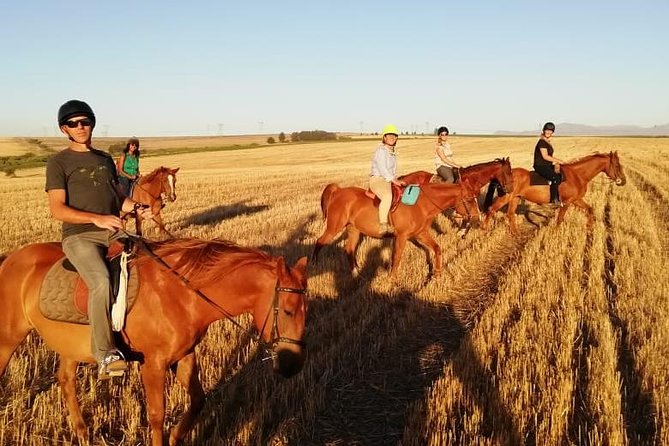 2 Hour Vineyard Trail Ride - Riding through Vredenheim’s vineyards and farmland