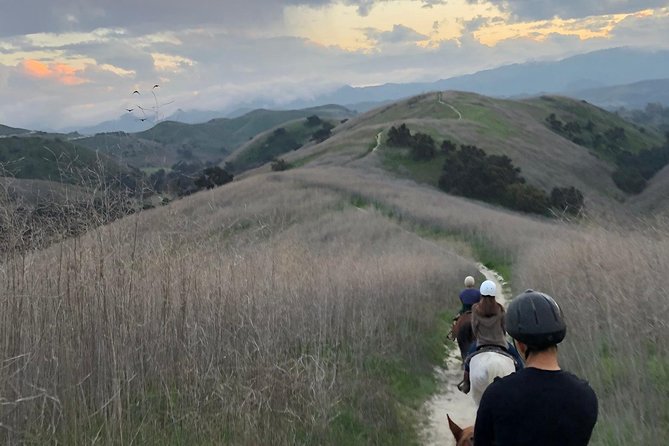 2 Hour Wildflower Horseback Trail Ride experience in Agoura Hills - Starting at Twenty Nine Oaks Ranch