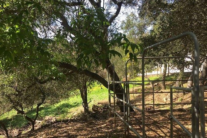 2 Hour Wildflower Horseback Trail Ride experience in Agoura Hills - Why the private format matters