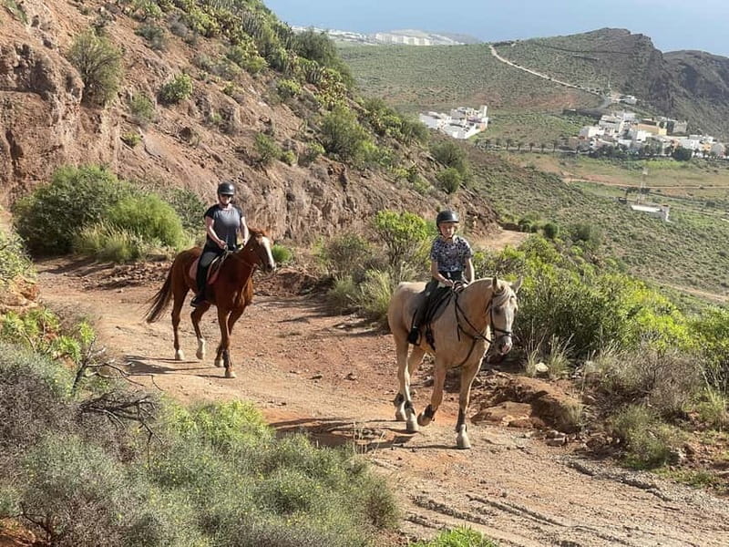 2 hours Green Mountains Horse Riding Tour - Should you book the Green Mountains Horse Riding Tour?