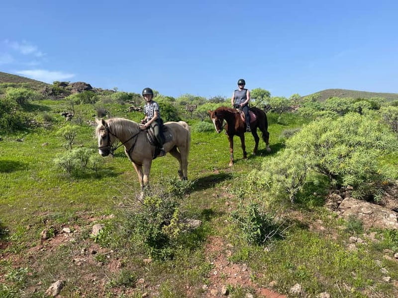2 hours Green Mountains Horse Riding Tour - Choosing the higher track or the cave route