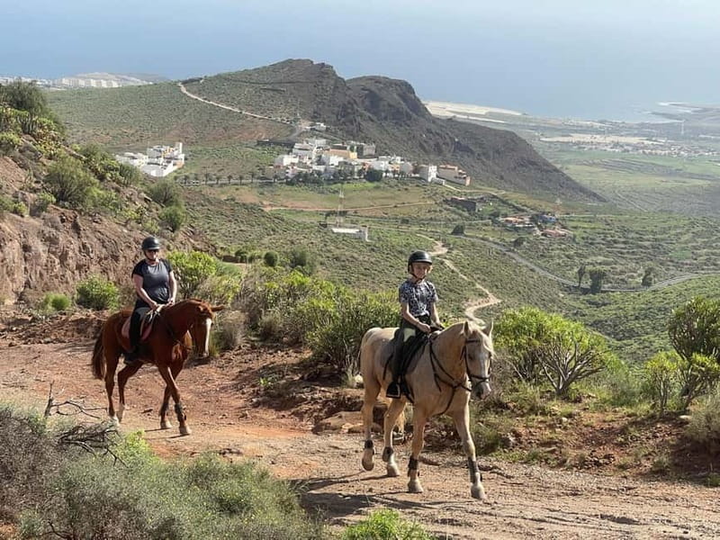 2 hours Green Mountains Horse Riding Tour - How the ride suits different skill levels