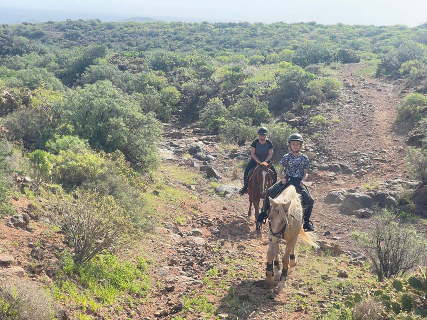 2 hours Green Mountains Horse Riding Tour - What the equipment adds, and what to wear