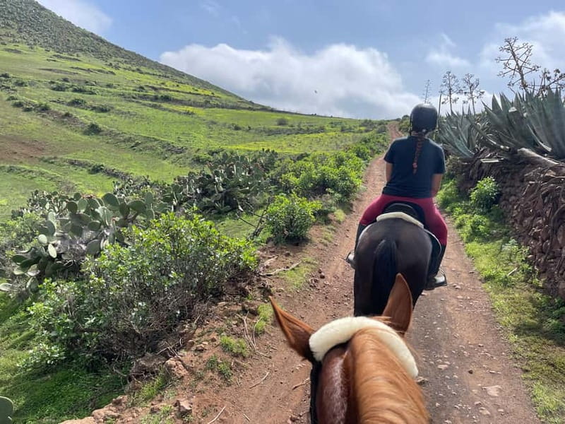 2 hours Green Mountains Horse Riding Tour - The important safety question