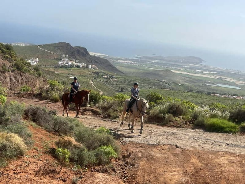 2 hours Green Mountains Horse Riding Tour - Is $100 a fair price for two hours?