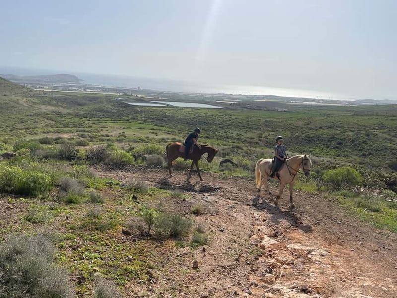 2 hours Green Mountains Horse Riding Tour - Who should book this ride?