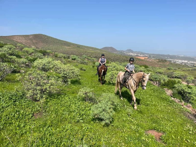 2 hours Green Mountains Horse Riding Tour - Two hours on uphill and downhill tracks