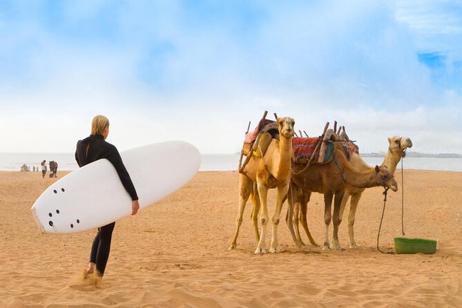 2 hours horse ride beach and dunes in Essaouira Morocco - From Diabat to the Atlantic Shore