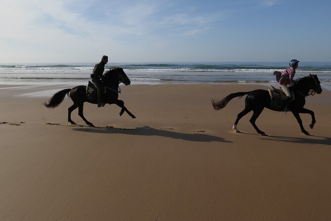 2 hours horse ride beach and dunes in Essaouira Morocco - Beginner Pace, Family Fit, and Riding Ability