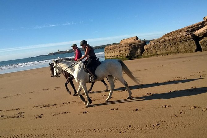 2 hours horse ride beach and dunes in Essaouira Morocco - Who Should Book This Ride?