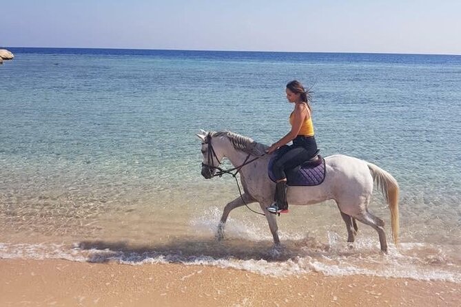 2 Hours Horse Riding Adventure in The Sea & Desert - Hurghada - Sea and desert in one short Hurghada outing
