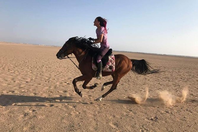 2 Hours Horse Riding Adventure in The Sea & Desert - Hurghada - What happens at the stables