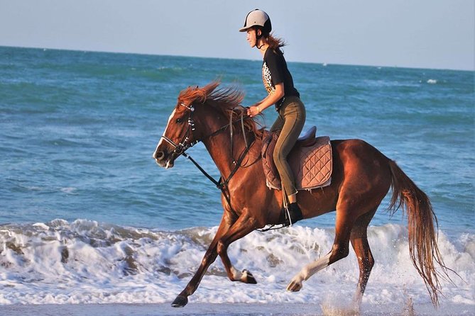 2 Hours Horse Riding Adventure in The Sea & Desert - Hurghada - Horses, instruction, and rider confidence