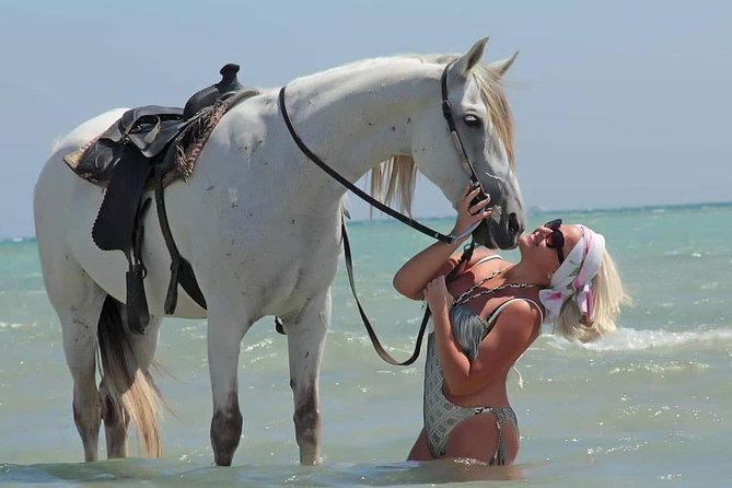 2 Hours Horse Riding Adventure in The Sea & Desert - Hurghada - How much value do you get for $10?