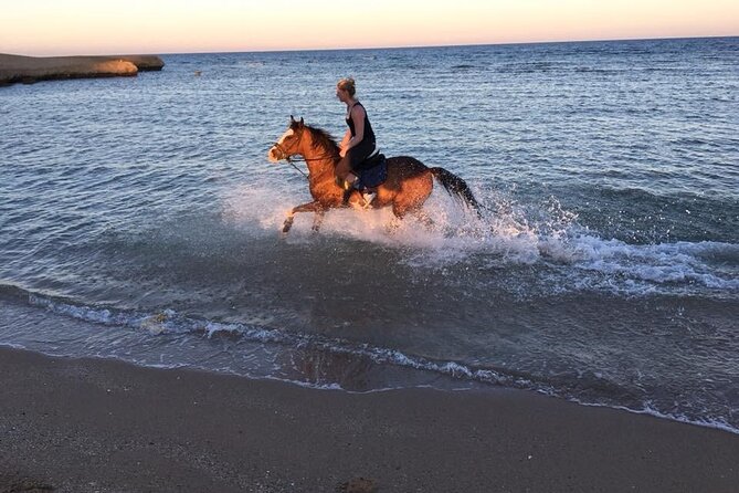 2 Hours Horse Riding Adventure in The Sea & Desert - Hurghada - Pickup, timing, and group size