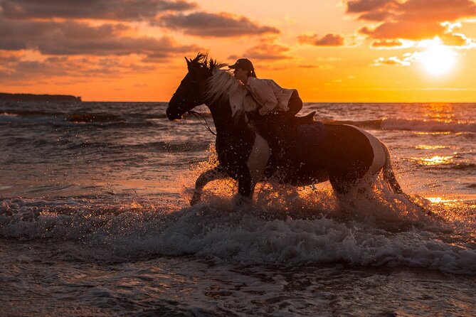 2 Hours Horse Riding Adventure in The Sea & Desert - Hurghada - What to wear and bring