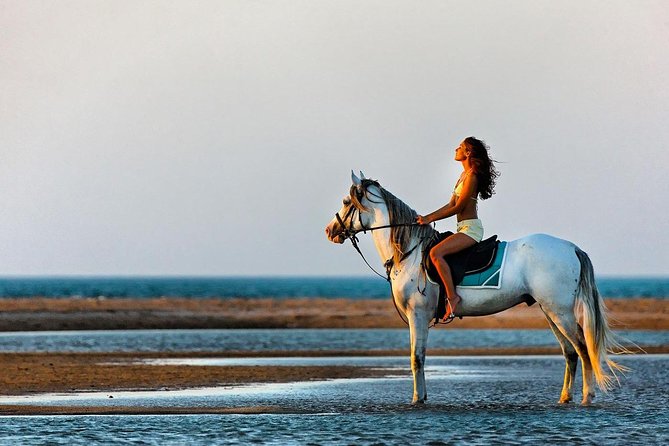 2 Hours Horse Riding Adventure in The Sea & Desert - Hurghada - The desert section and the camel option
