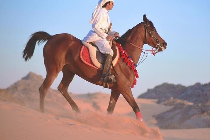 2 hours Horse Riding At Amazing Desert With Transfer - Sharm El Sheikh - Why the Transfers Matter More Than They First Appear