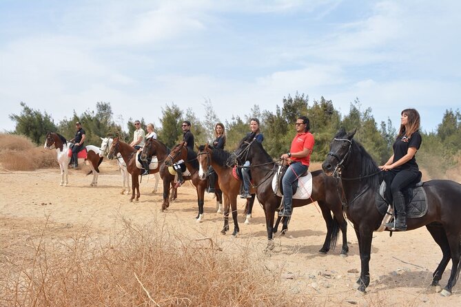 2 hours Horse Riding At Amazing Desert With Transfer - Sharm El Sheikh - Booking Timing and Cancellation