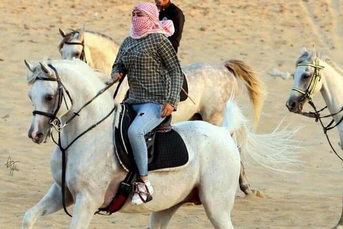 2 hours Horse Riding At Amazing Desert With Transfer - Sharm El Sheikh - Photo Stops and the Pace of the Day
