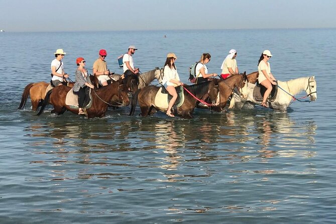 2 hours Horse Riding on The Sea and Desert- Hurghada - Key points to know before you book