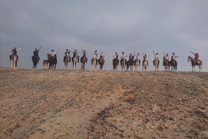 2 hours Horse Riding on The Sea and Desert- Hurghada - Horses, instructors, and animal welfare