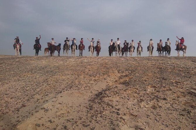 2 hours Horse Riding on The Sea and Desert- Hurghada - Is $18.82 good value?