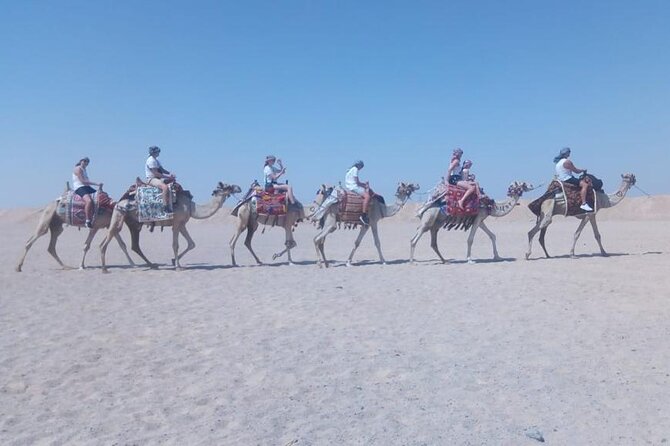 2 hours Horse Riding on The Sea and Desert- Hurghada - Across the dry ground: desert in the Hurghada sense