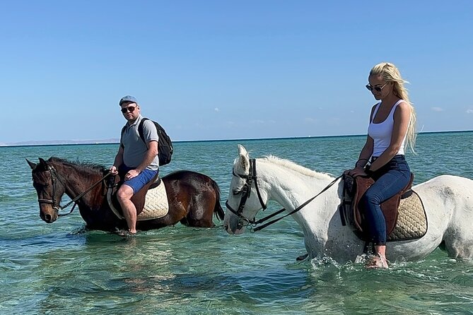 2 hours Horse riding or Camel riding at Hurghada - Riding through Hurghada’s Eastern Desert