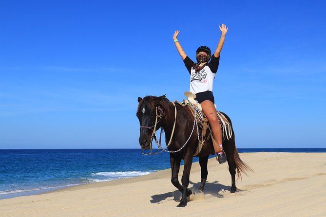 2 Hours Horseback Riding Adventure in Cabo - Lunch, tacos, beer, and the tequila stop