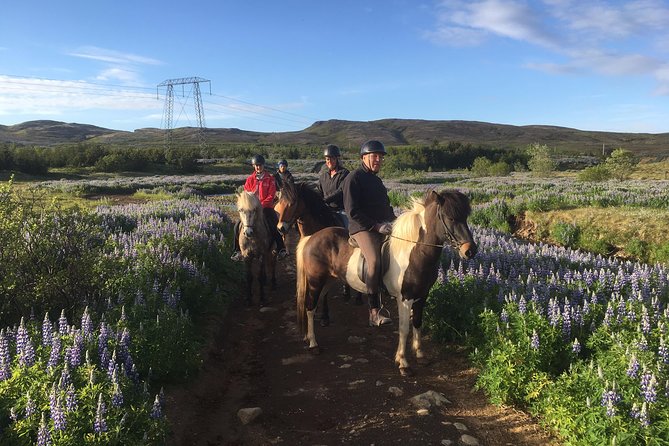 2 hours Private Horse Riding to Lake Hafravatn, Reykjavík - Mos - Why a private ride changes the experience