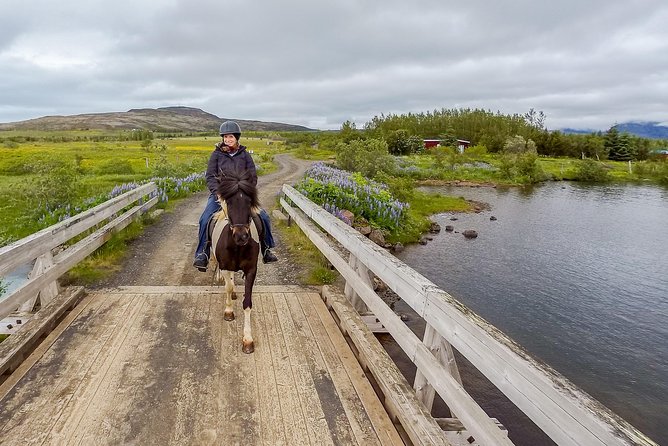 2 hours Private Horse Riding to Lake Hafravatn, Reykjavík - Mos - From the paddock to Lake Hafravatn