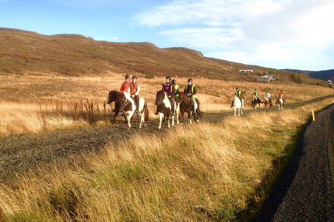 2 hours Private Horse Riding to Lake Hafravatn, Reykjavík - Mos - What to wear and what to bring