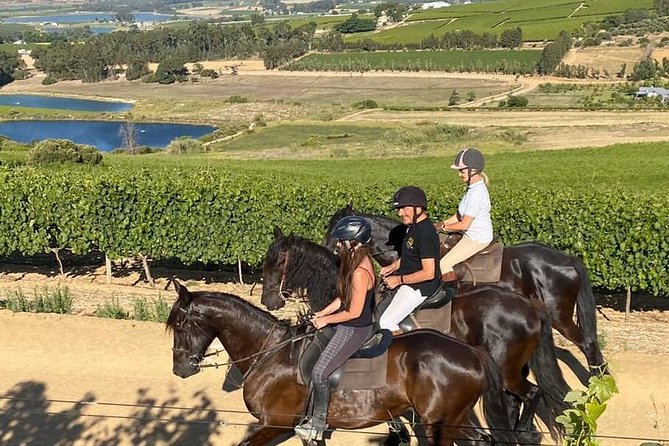 2h – Horse Trail - Key points at a glance