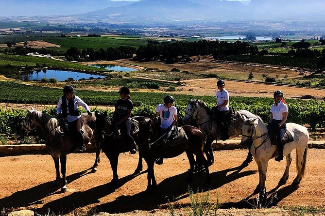 2h – Horse Trail - Arriving at Vrede en Lust Wine Estate