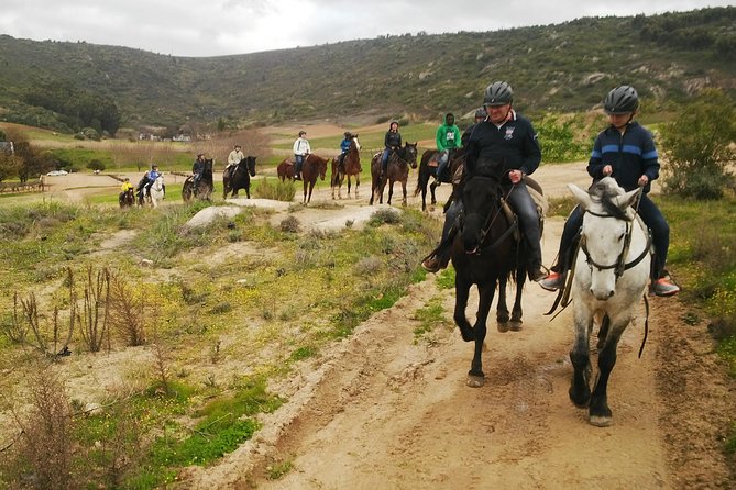 2h – Horse Trail - The climb toward Paarl Mountain