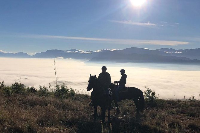 2h – Horse Trail - Tack, helmets, and what to wear