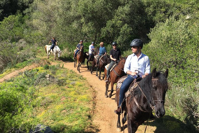 2h – Horse Trail - Optional wine, olive, and meal additions