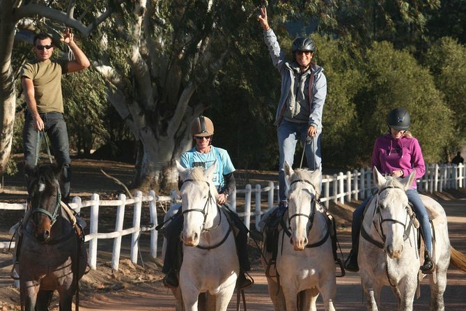 2h – Horse Trail - Getting matched with the right horse