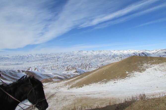3 days horse back riding to Song-Kul lake whole year round - Booking, cancellation, and practical checks