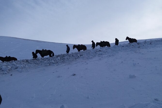 3 days horse back riding to Song-Kul lake whole year round - Song-Kul without rushing the visit