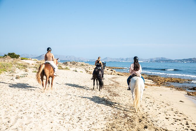 3-Hour Beach Horse Riding to Discover the Beauty of Alcudia Bay - A different route back through pine forest
