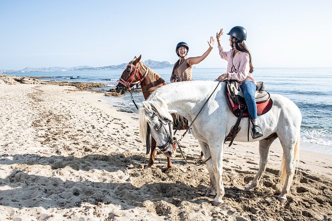 3-Hour Beach Horse Riding to Discover the Beauty of Alcudia Bay - How the riding levels affect your day