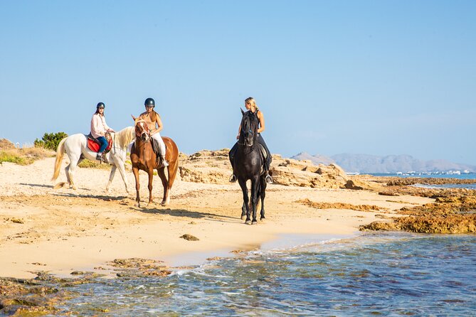3-Hour Beach Horse Riding to Discover the Beauty of Alcudia Bay - Horses, equipment, and guide support