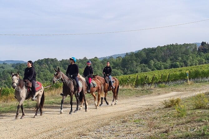 3 Hour Horse Ride to a Castle for Wine Tasting and snack Lunch - A long ride through vineyards and olive groves