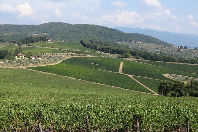 3 Hour Horse Ride to a Castle for Wine Tasting and snack Lunch - How the guides shape the day