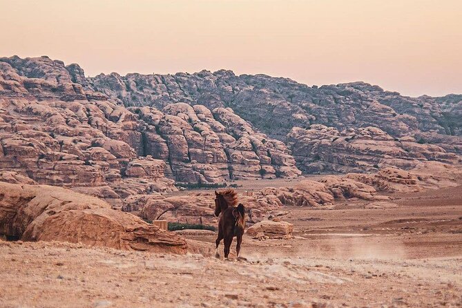 3 Hour Horse Riding Adventure around the Petra Area - Siq Ghrab and the Neolithic village