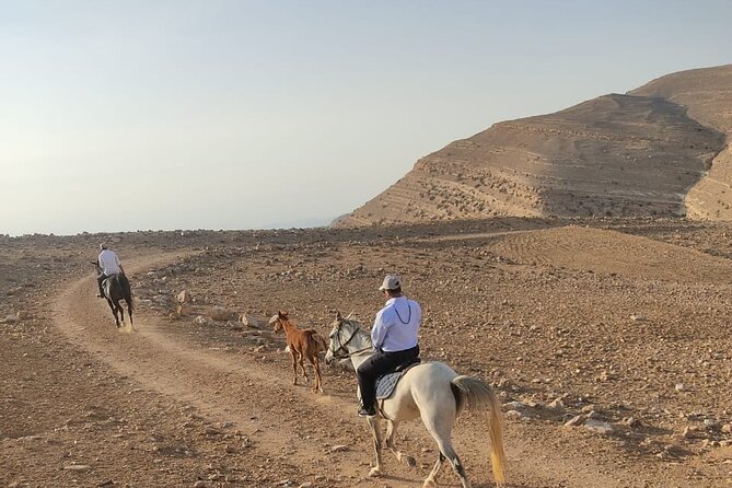3 Hour Horse Riding Adventure around the Petra Area - Who will get the most from this ride
