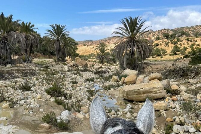 3-hour Horseback Ride Mountain and Beach Morocco - From Moroccan sand to the Berber hills